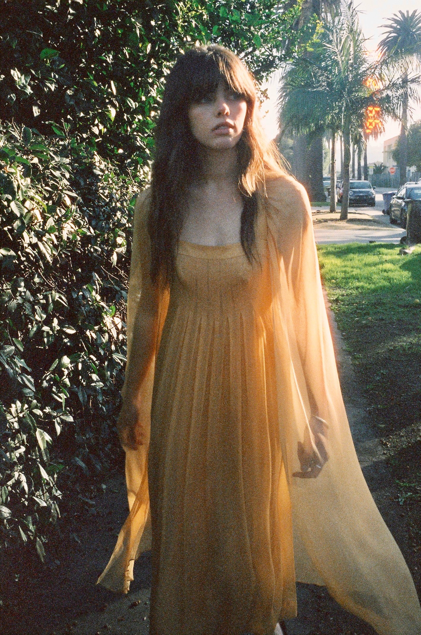 1970's Germaine & Jane Paris Cape Gown