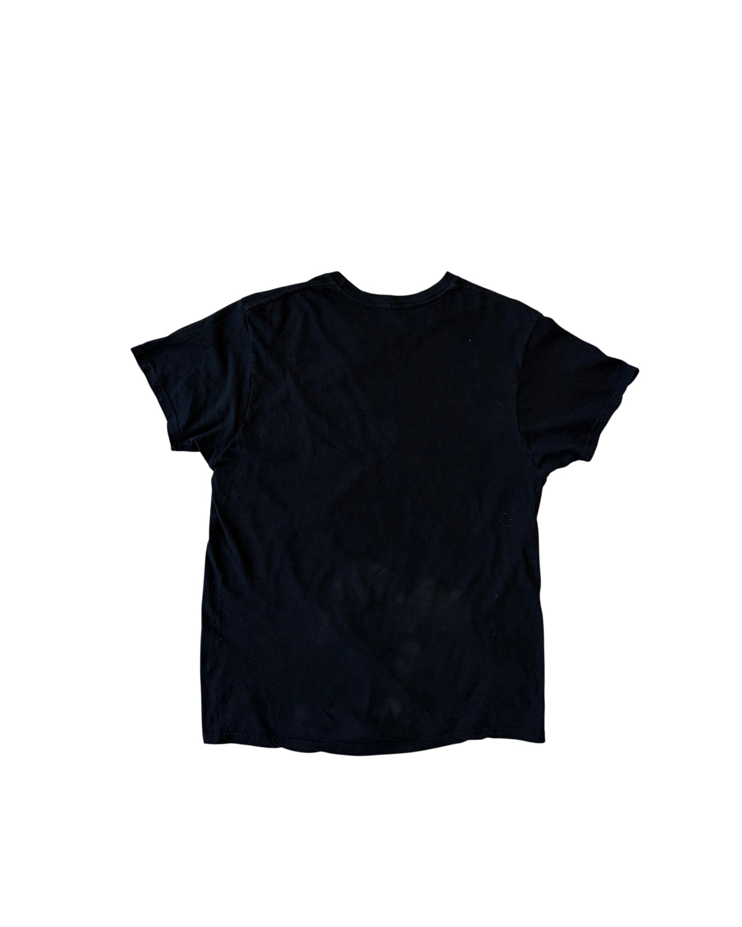 Ice Cube Graphic T-Shirt